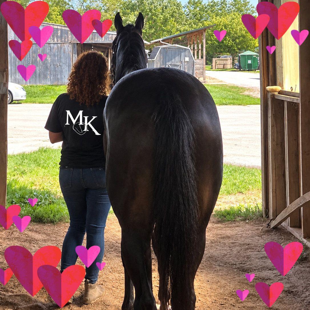 Felix aka parade field had his second Post track ride, this time under ...