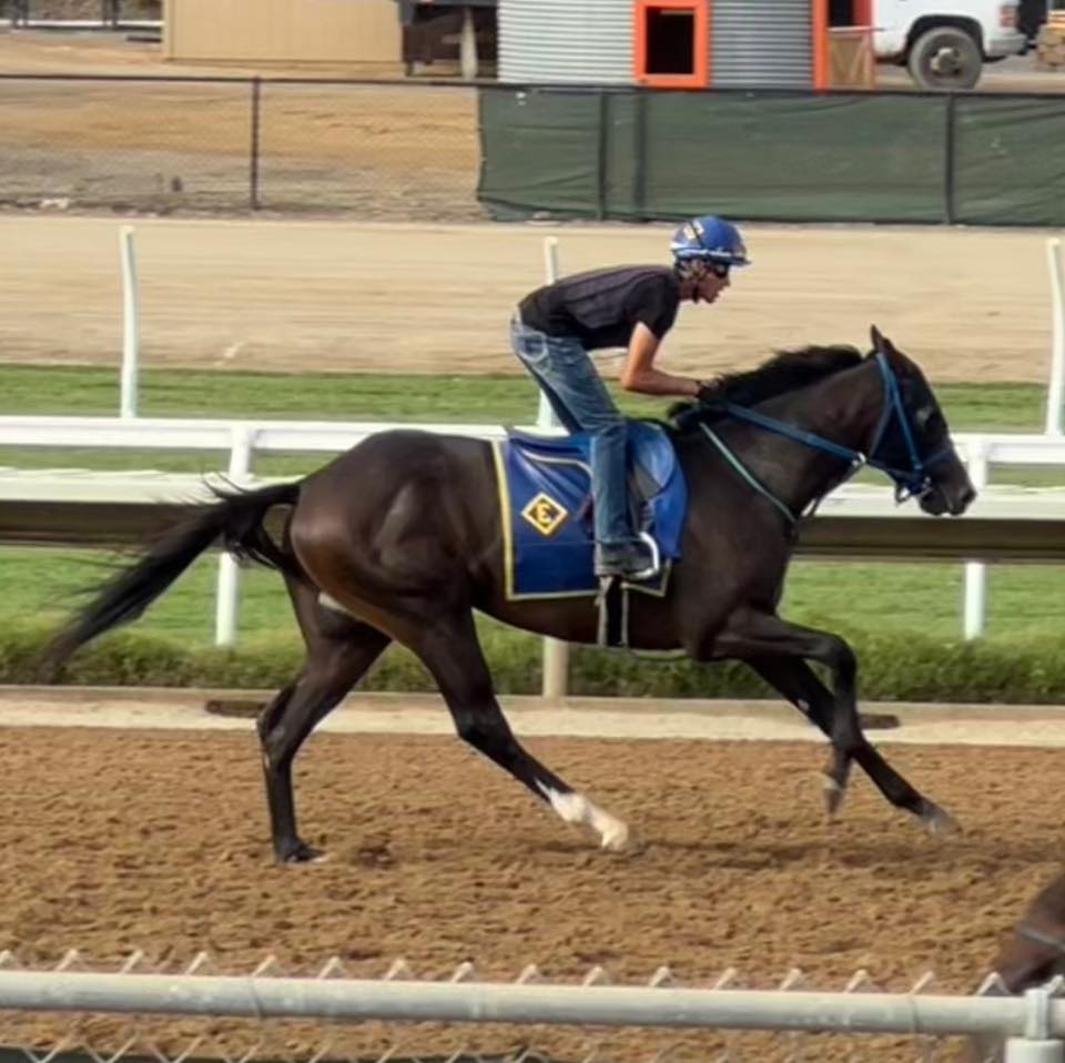Engler racing stables | Lexington KY