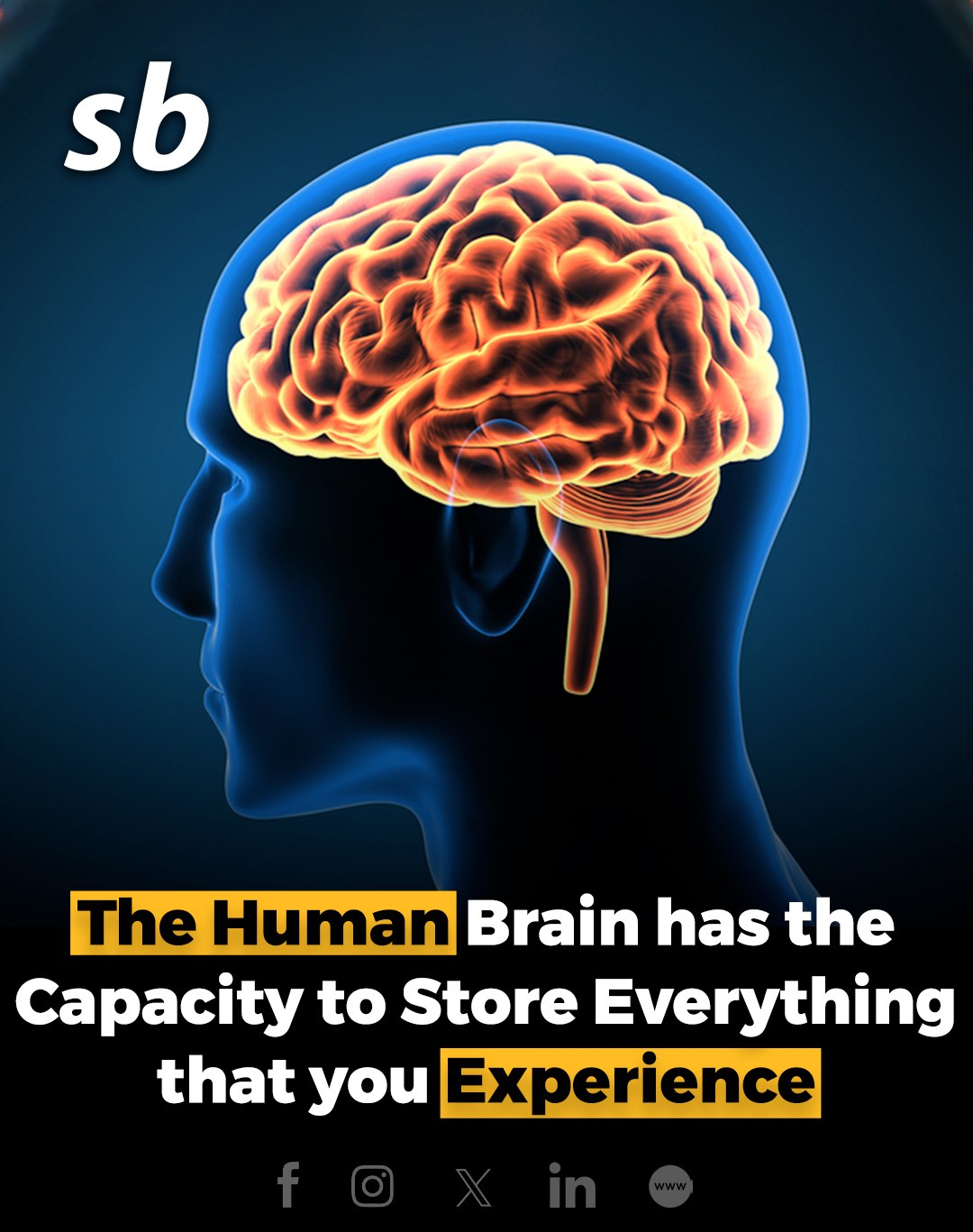 Science Behind - The human brain's incredible capacity...