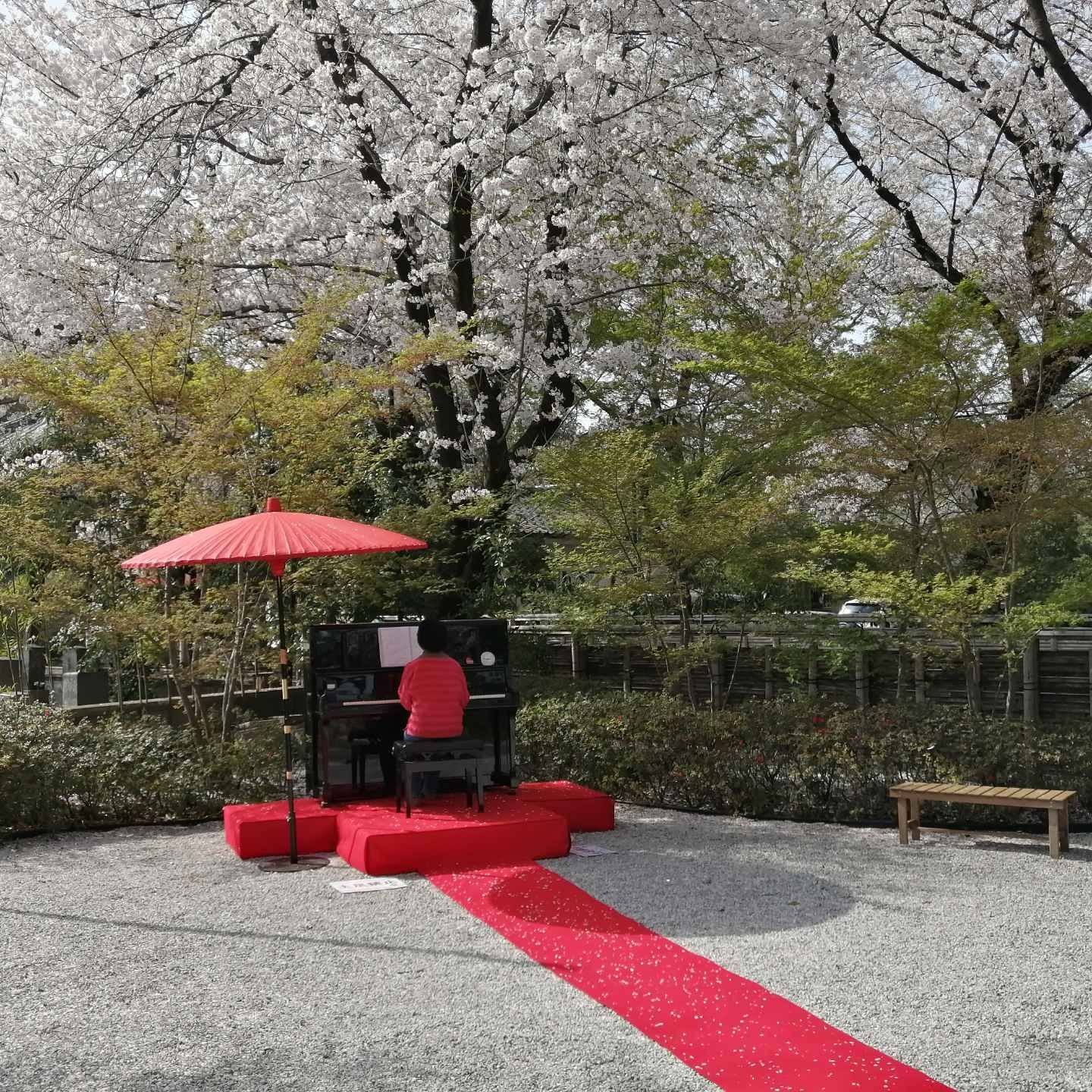 川越まちなか情報 - 中院にてストリートピアノイベント 3/19〜4/3に開催 昨年春に実施の人気のイベントが...