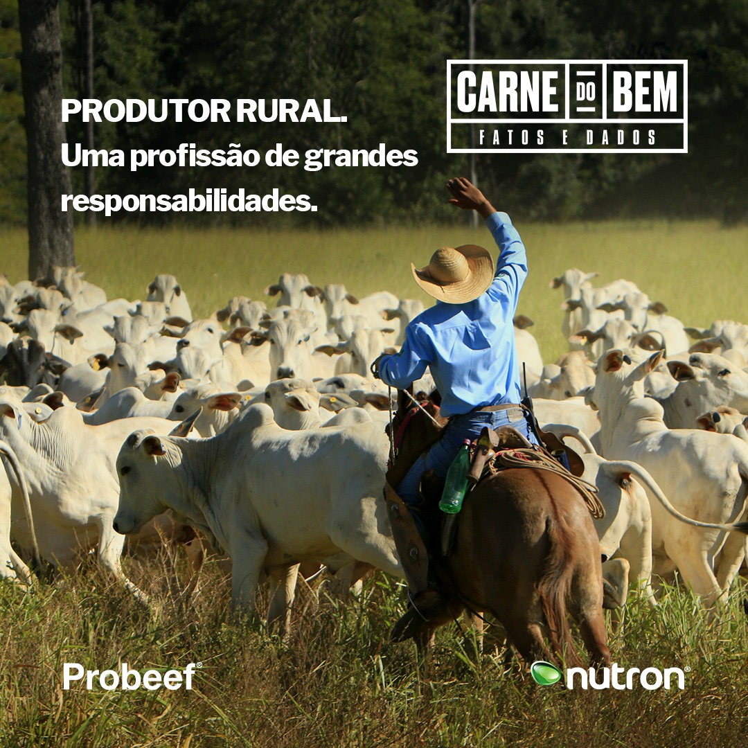 Probeef - A pecuária vem se consolidando com grandes players no mercado ...