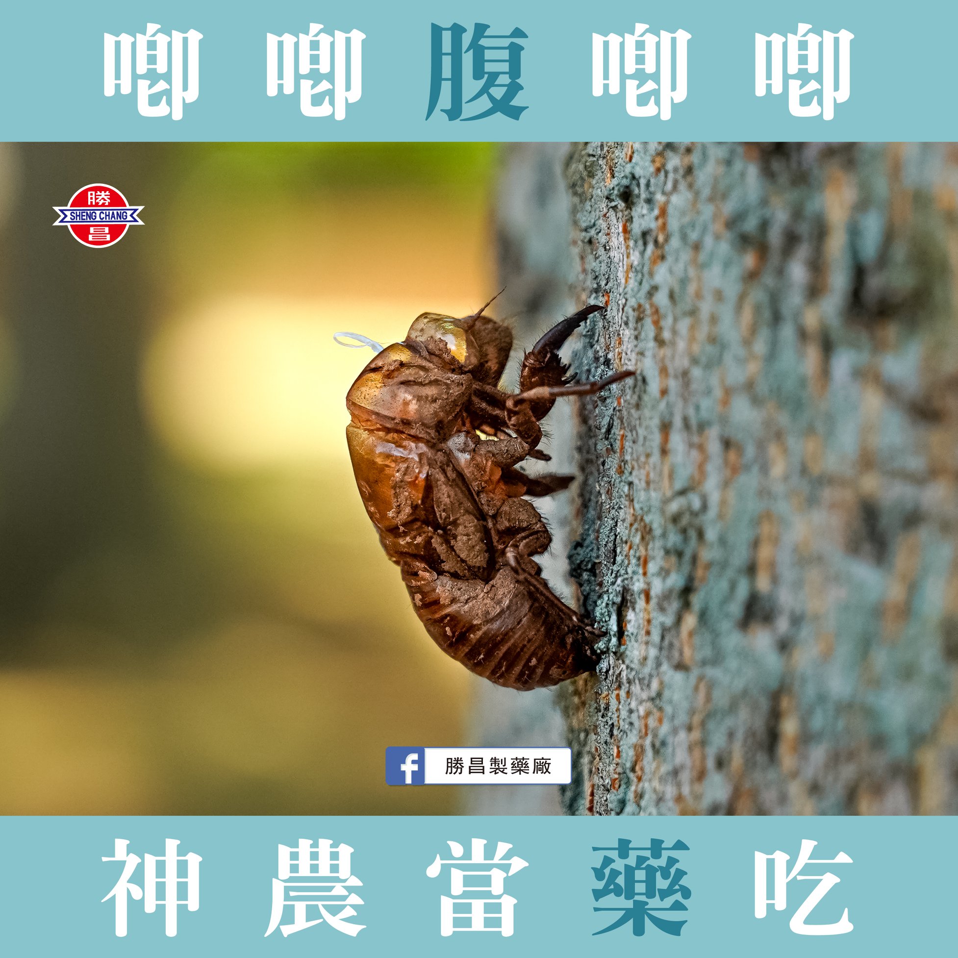 勝昌製藥廠 - 【來唷！來唷！今晚小昌昌要來上課囉！】 【別再討論南北粽惹，反正吃完都會變重好嘛 😎】...