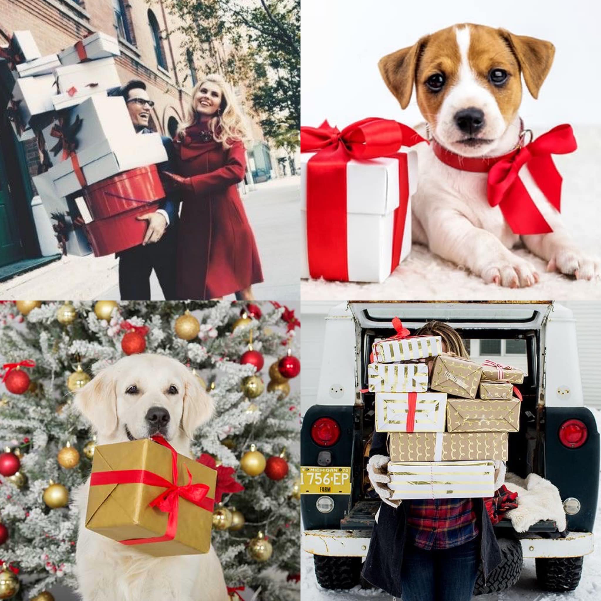 Ruff Day Resort - The Holidays are officially here! 🦃🎅🏻... | Facebook