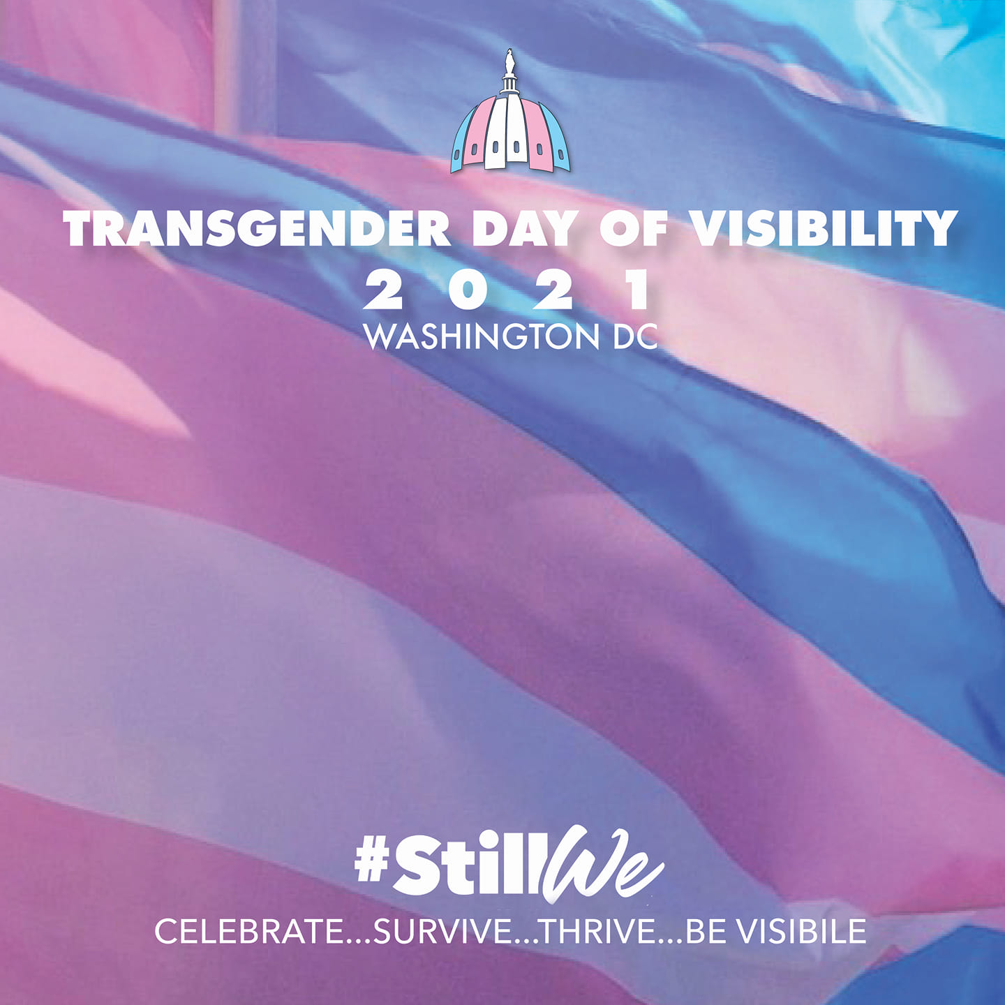 Capital Trans Pride - Today we celebrate, appreciate, and show support ...