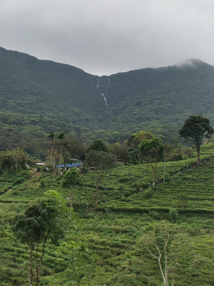 Waterfalls in Sri Lanka - Pitawala Pathana Ella Fall No 1 – පිටවල පතන ...