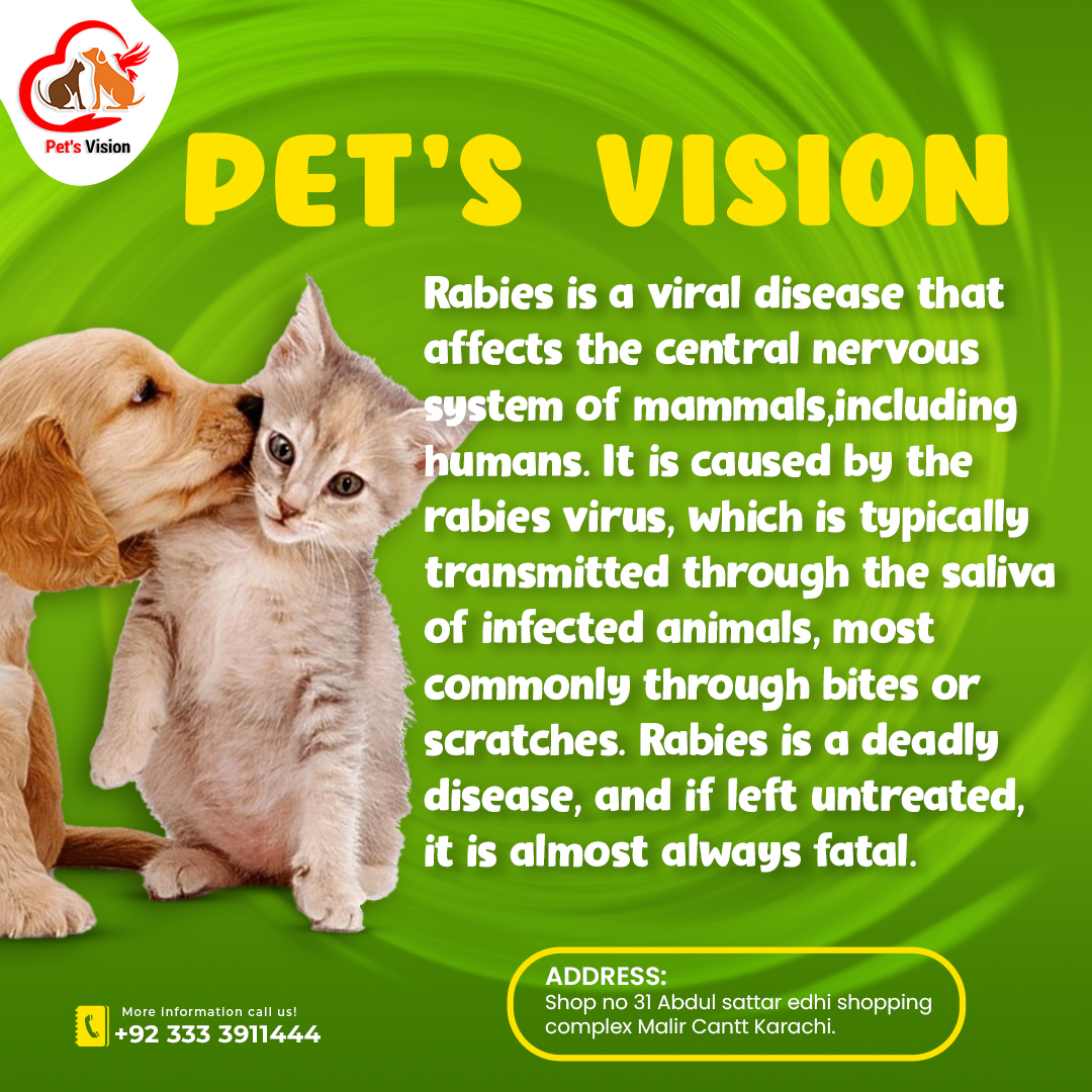 Pets Vision - Get rabies vaccination from us. Visit Our...