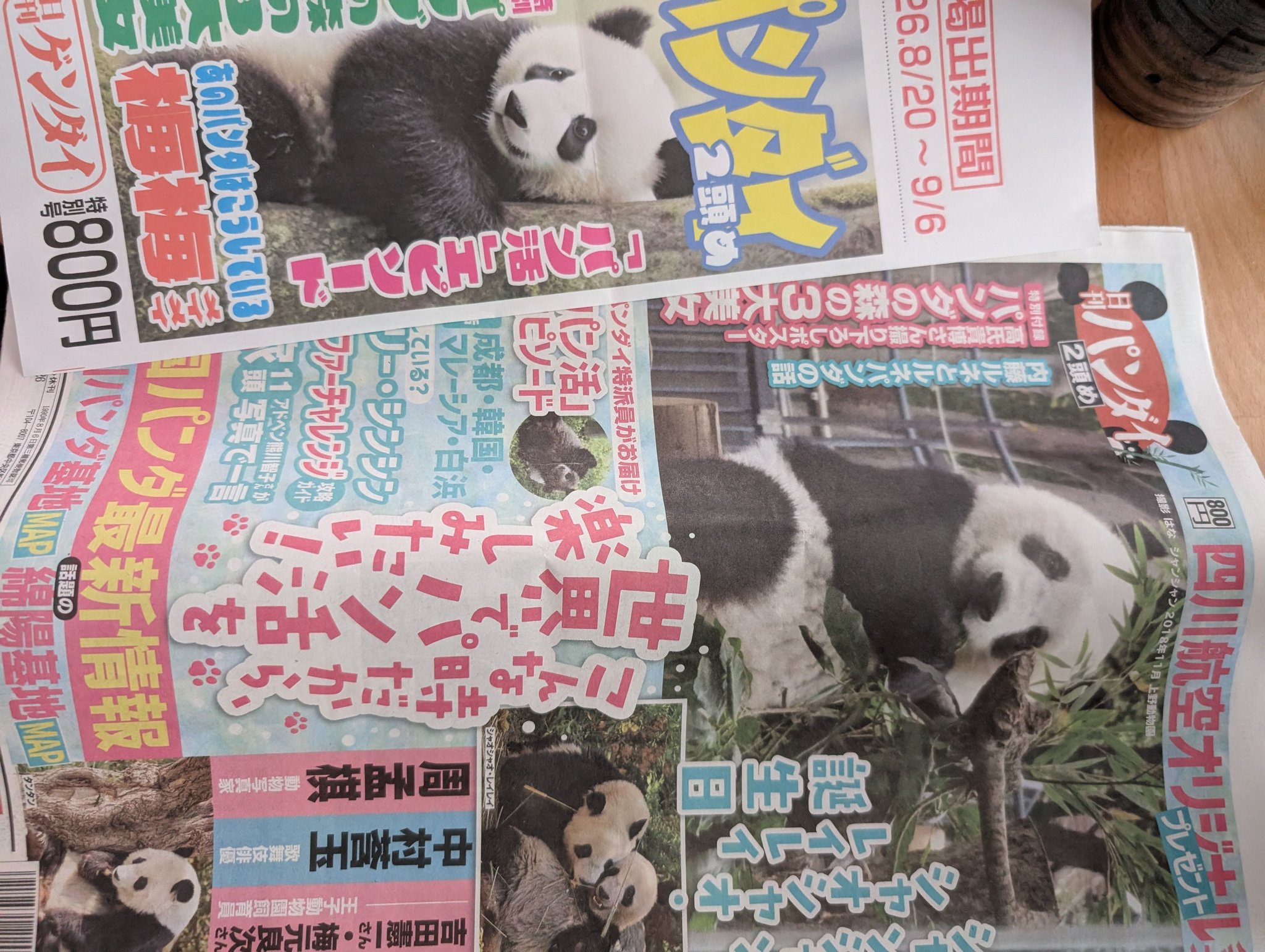万博の中国館🇨🇳で購入したパンダ🐼さん 花花（ファーファ）の