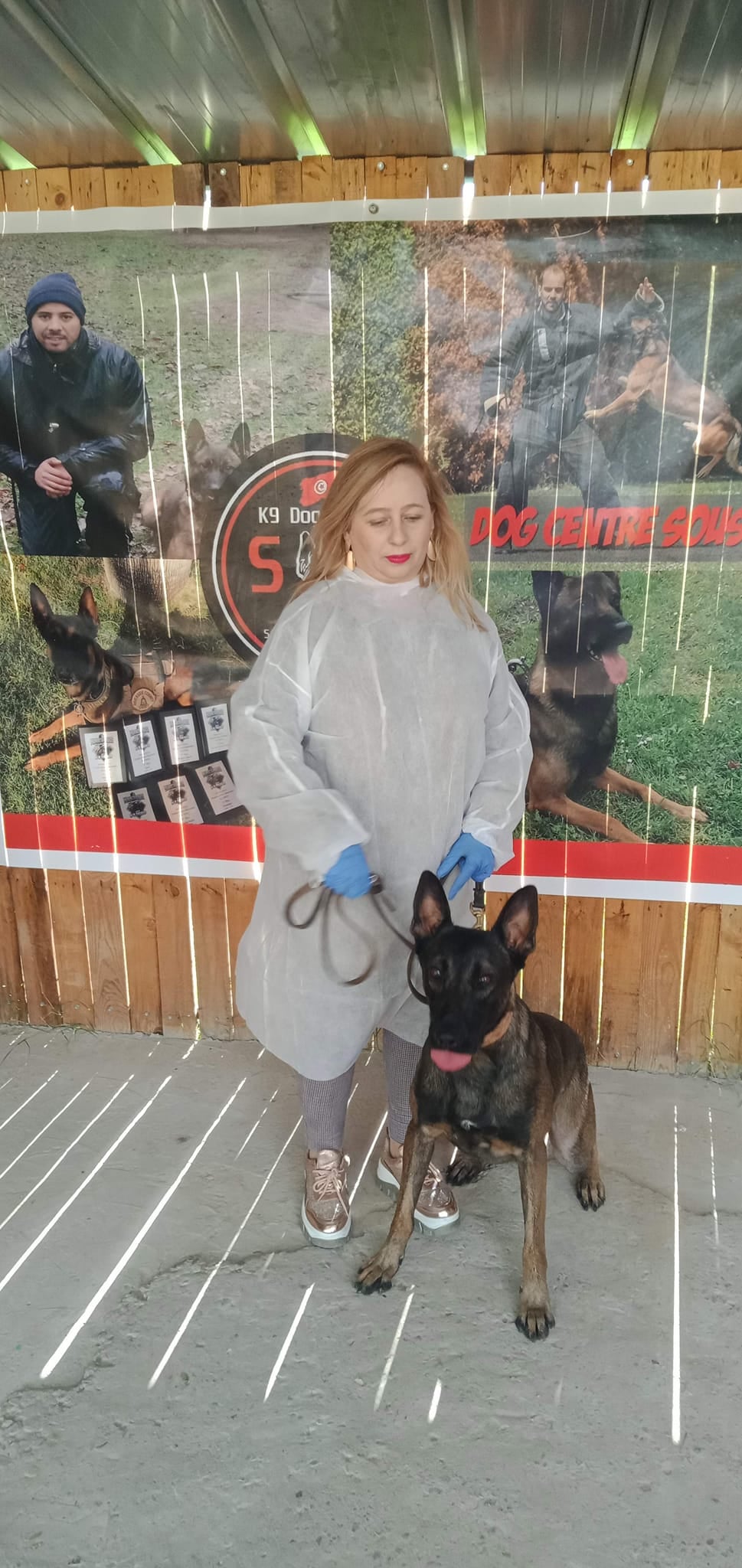 Pièce De Défi K9 Dog Protector – Gardien De La Nuit, Cadeau De Collection Pour Forces De L’Ordre, Avec Support Plastique
