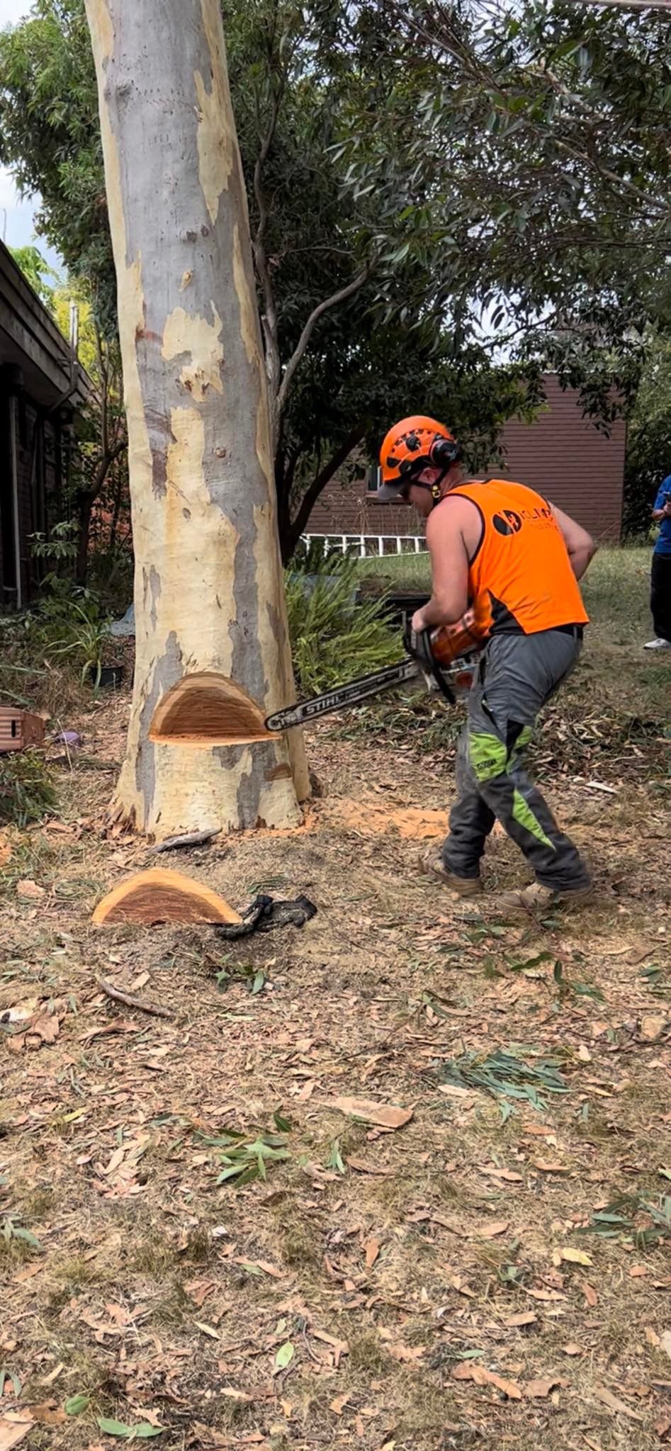 Iclimb Tree Services Melbourne | Mornington VIC