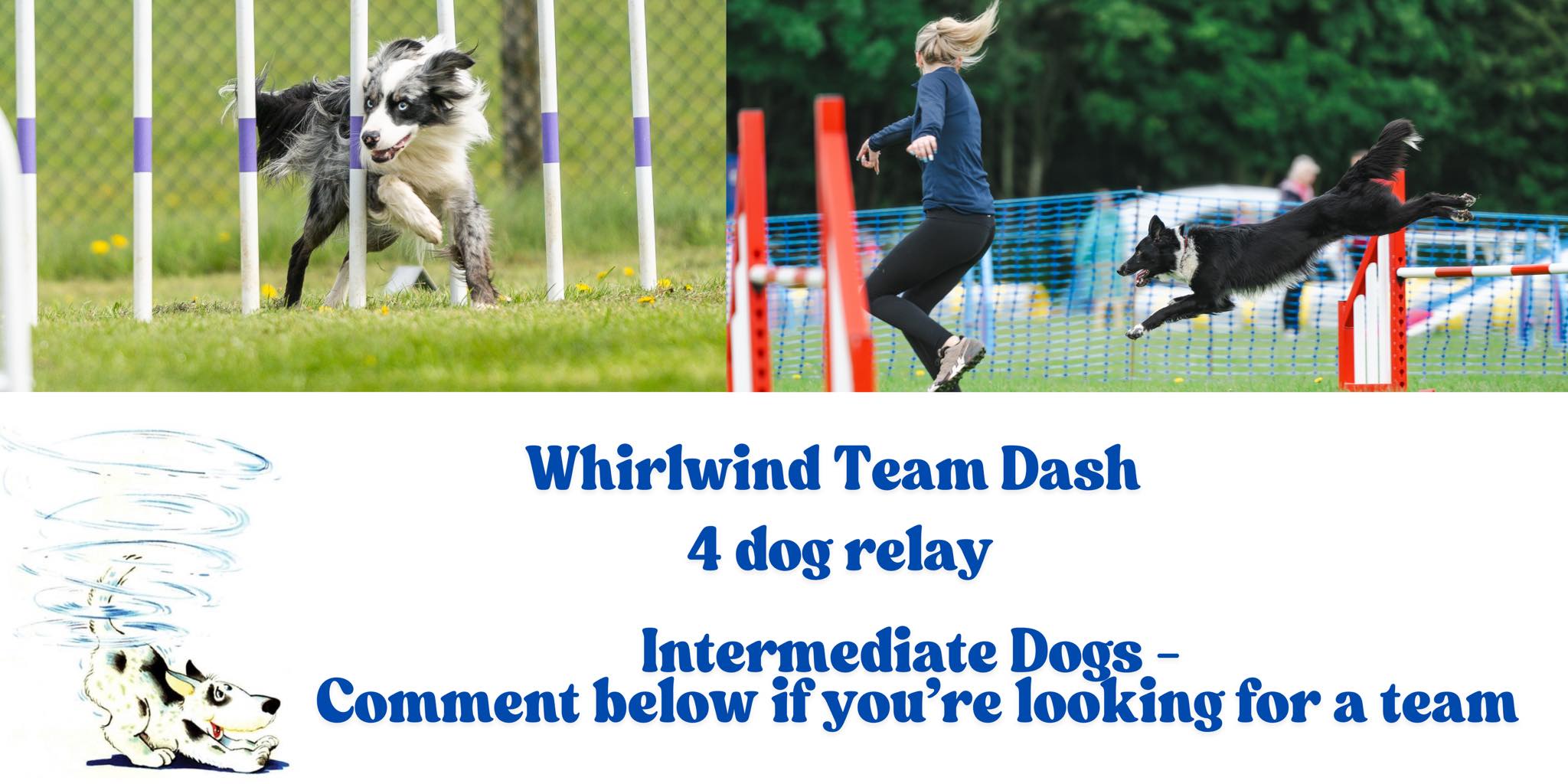 Whirlwind Agility Show | Facebook