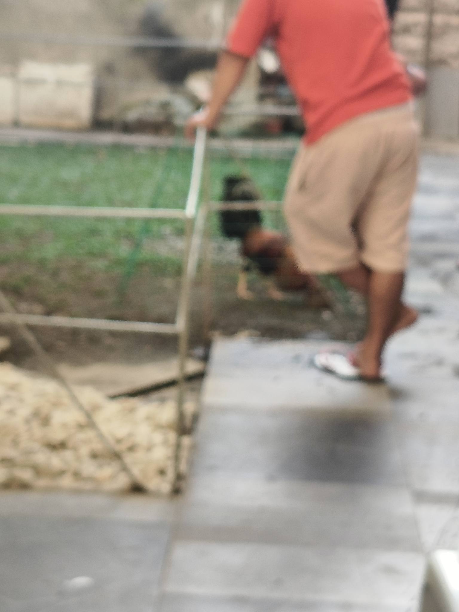 Lito Calledo Albiso