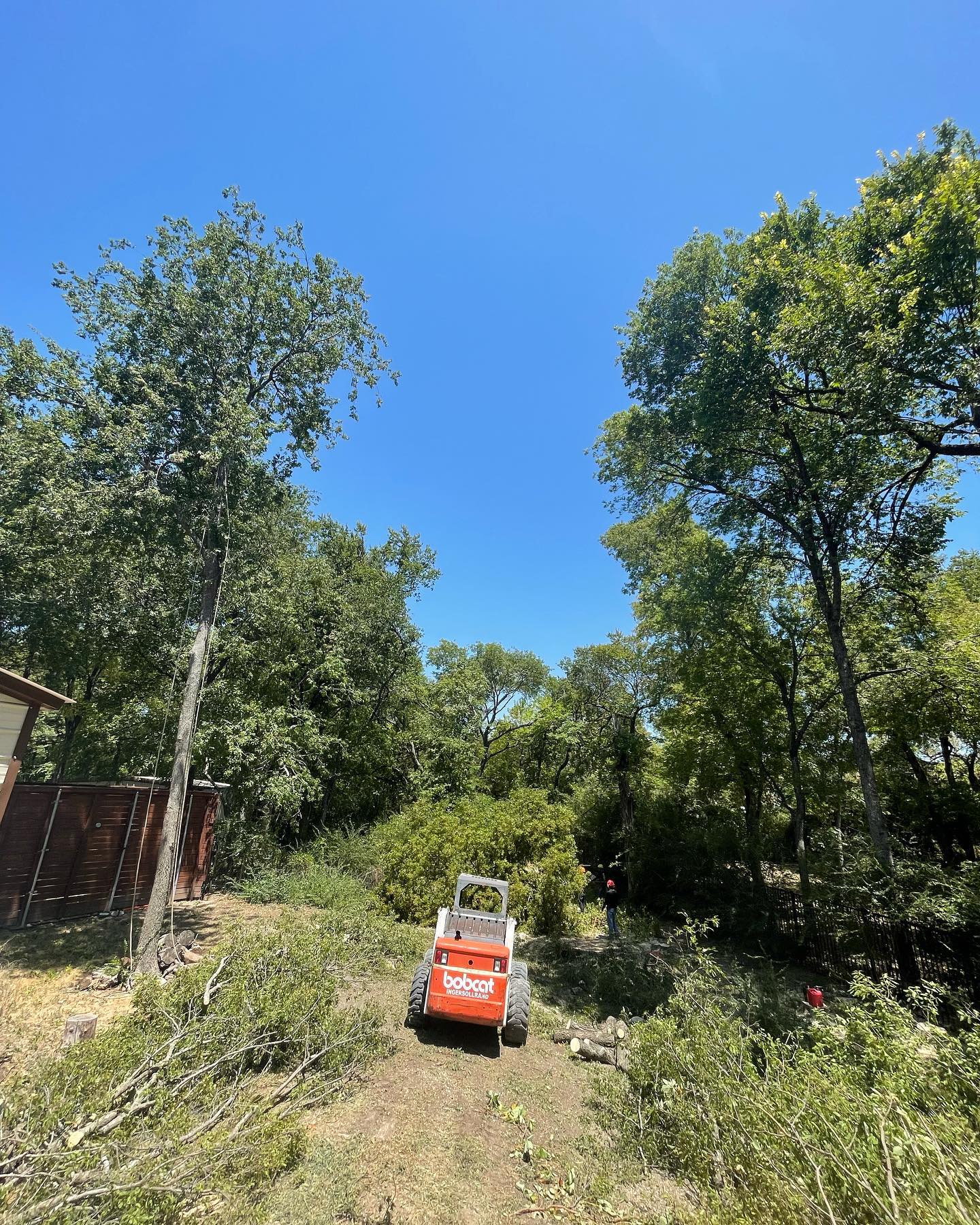 Tactical Tree Operations LLC