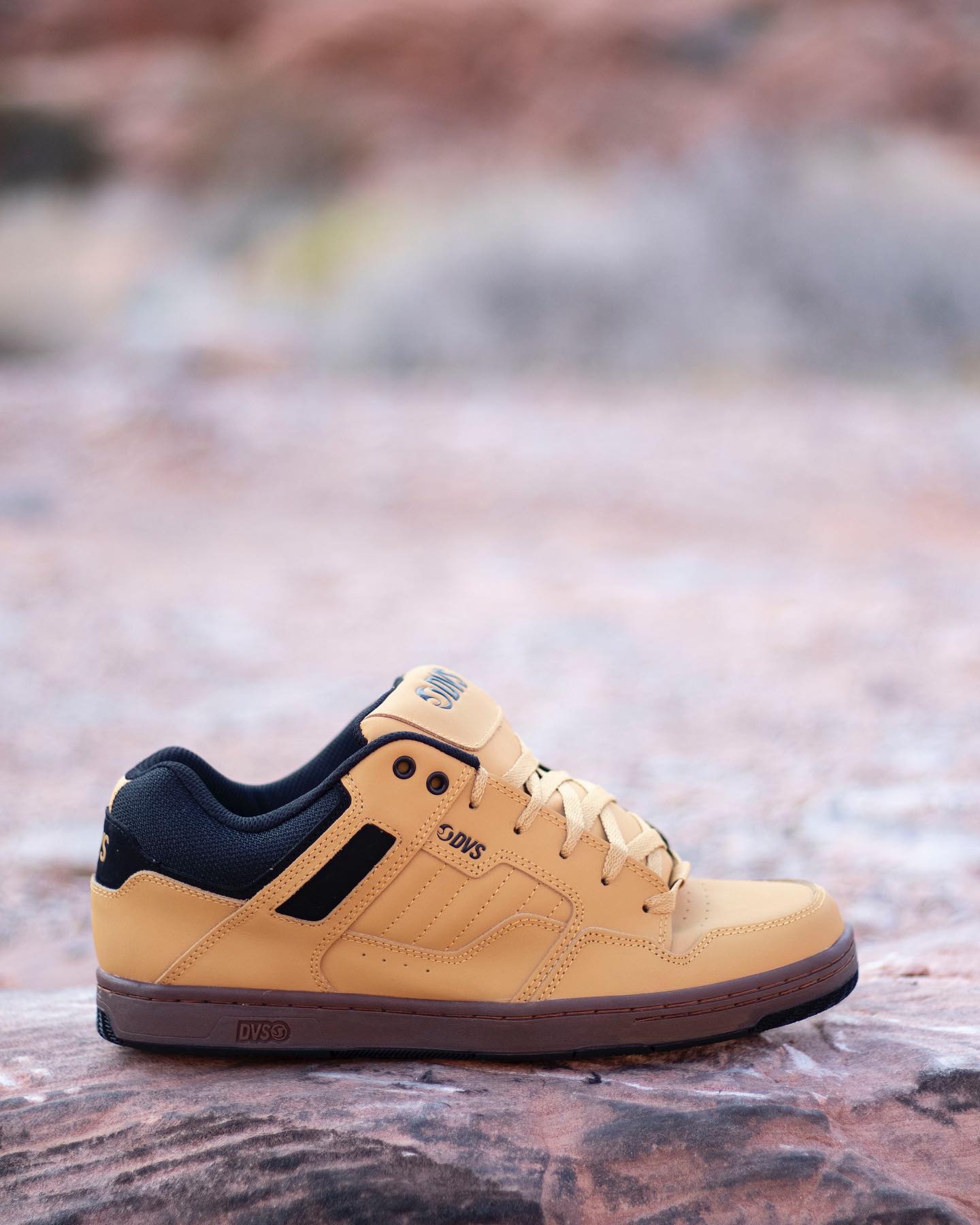 DVS is a skate shoe brand founded in 1995 in California by 