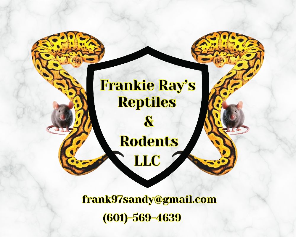 Frankie Ray's Reptiles & Rodents ,LLC | Let's welcome our new members ...