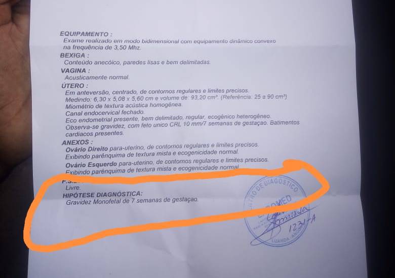 O Que é Bexiga Anecoico Paredes Lisas E Bem Delimitadas