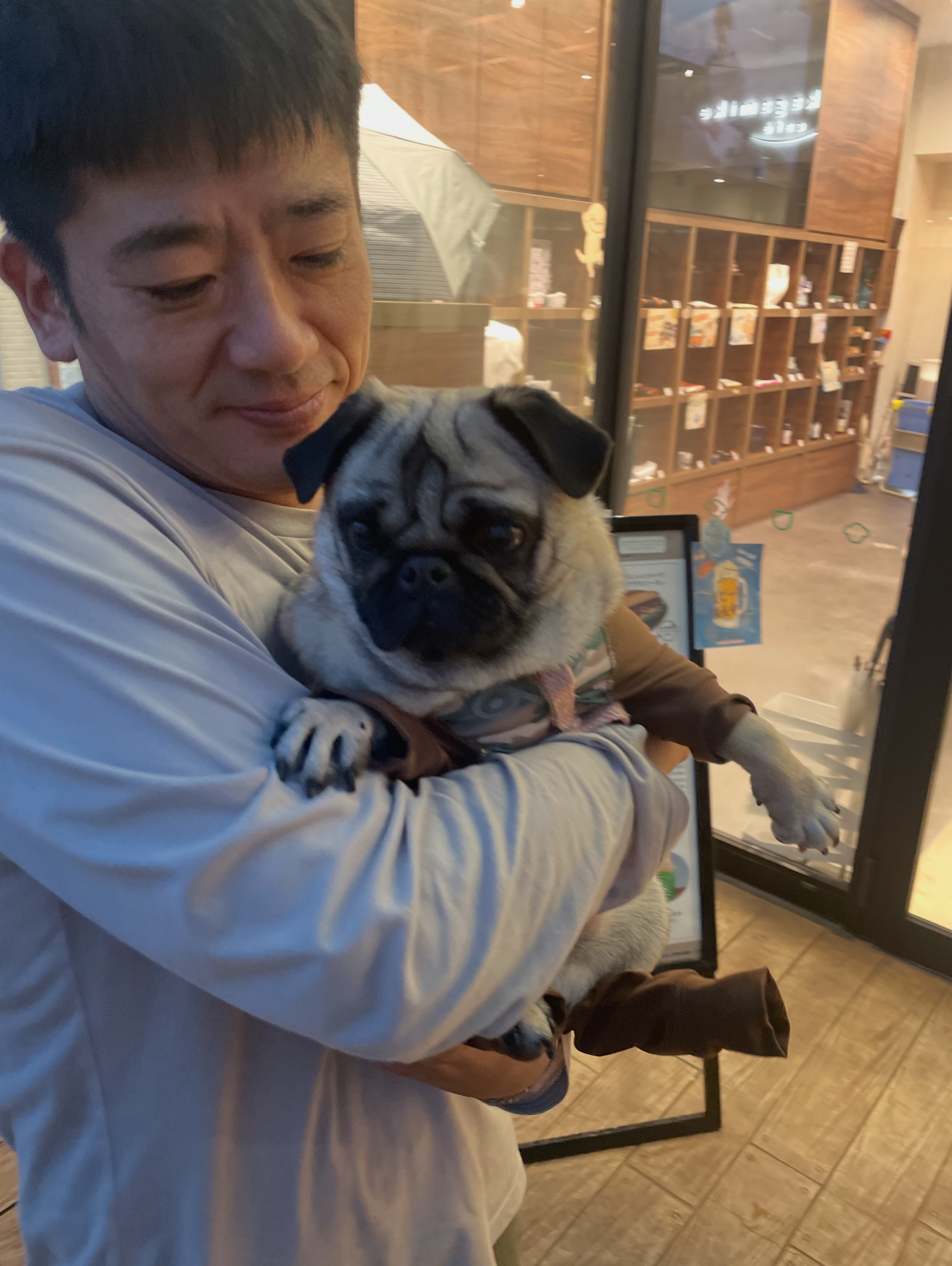 パグちゃん パグちゃん、雨宿り中☔️」