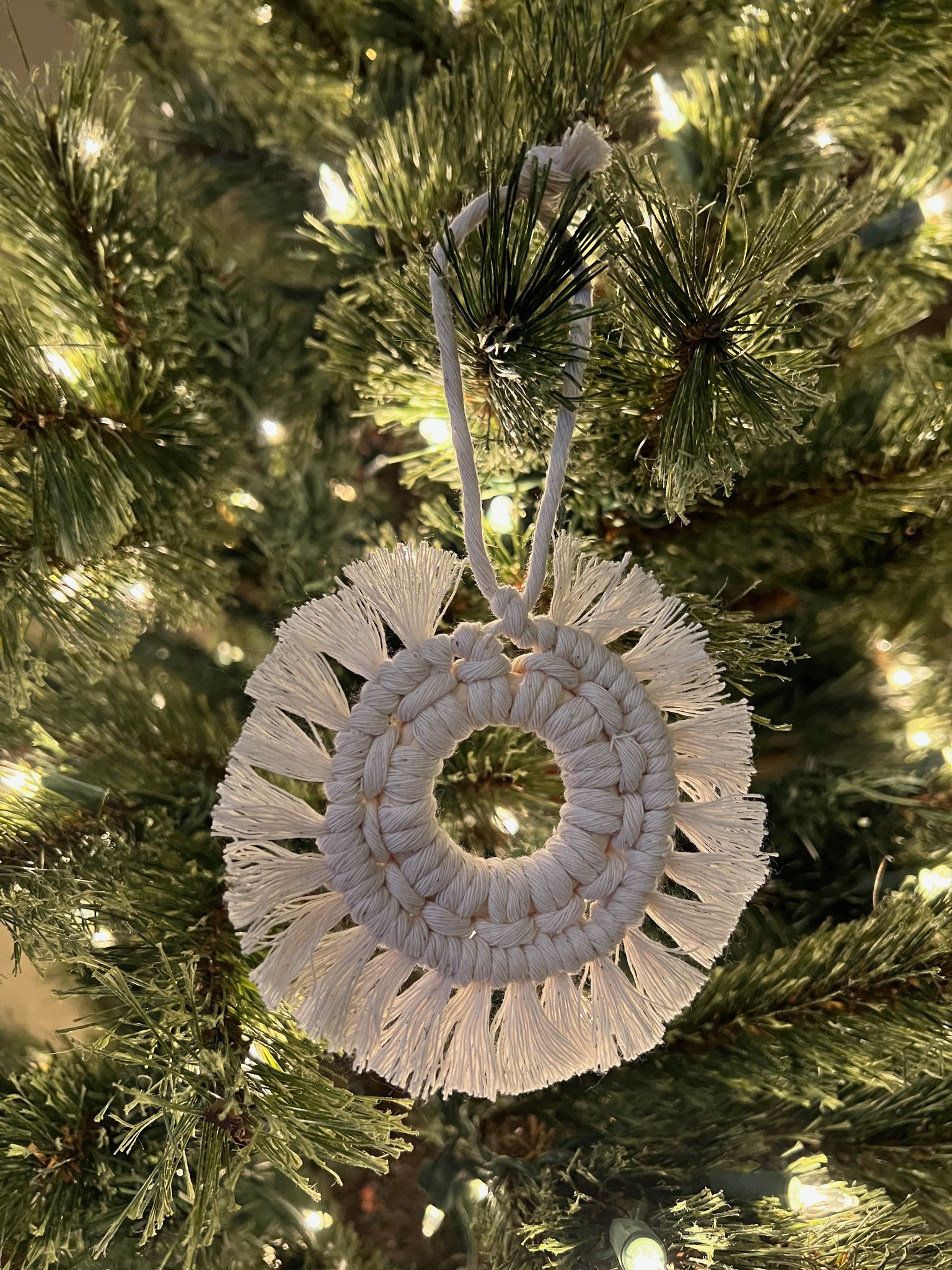 My Casa Zeta-Jones ornaments just make me so happy. Fun Fact: I