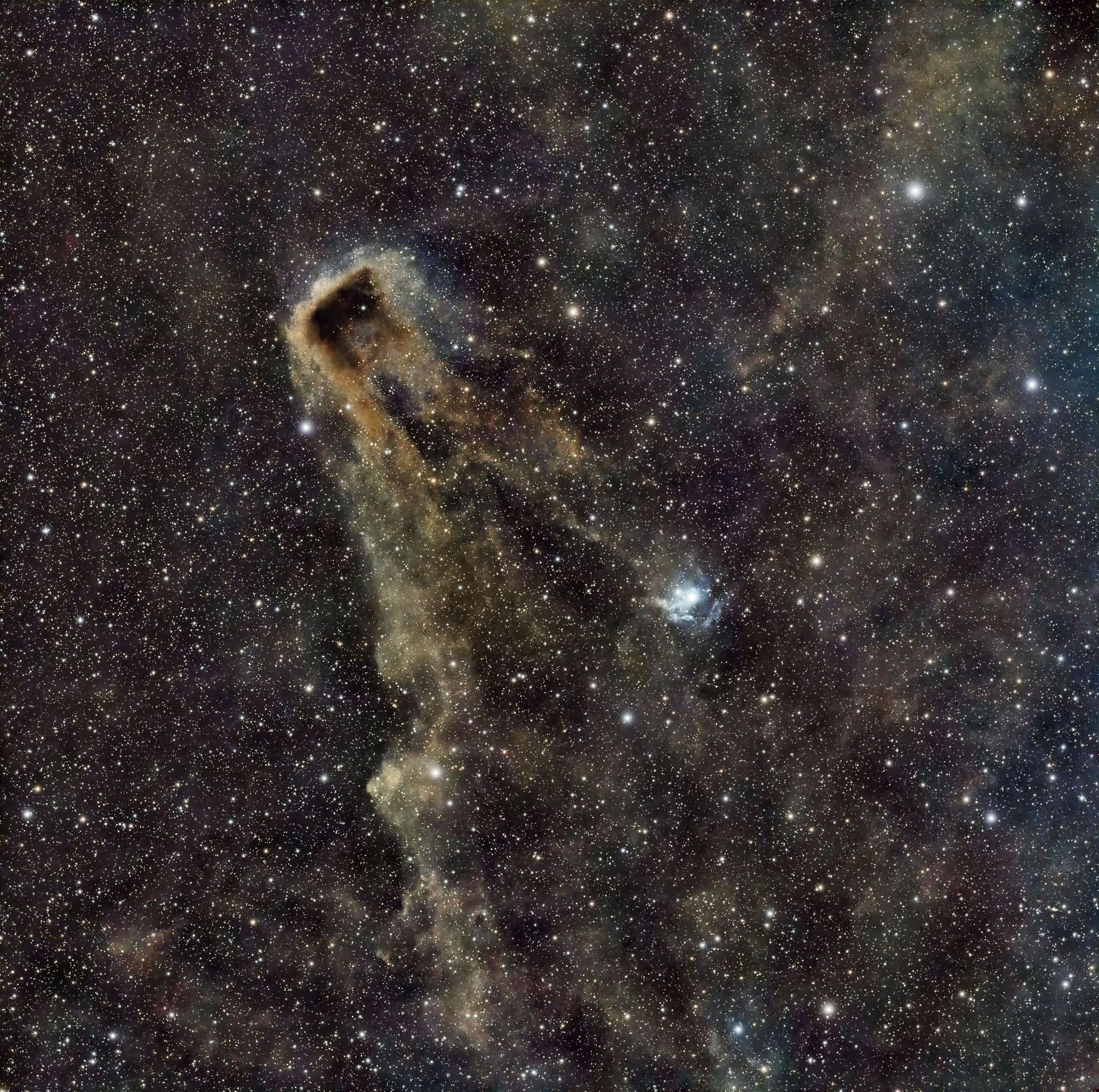LDN1222, The Toast Nebula Astrophotography with ZWO ASI533MC PRO