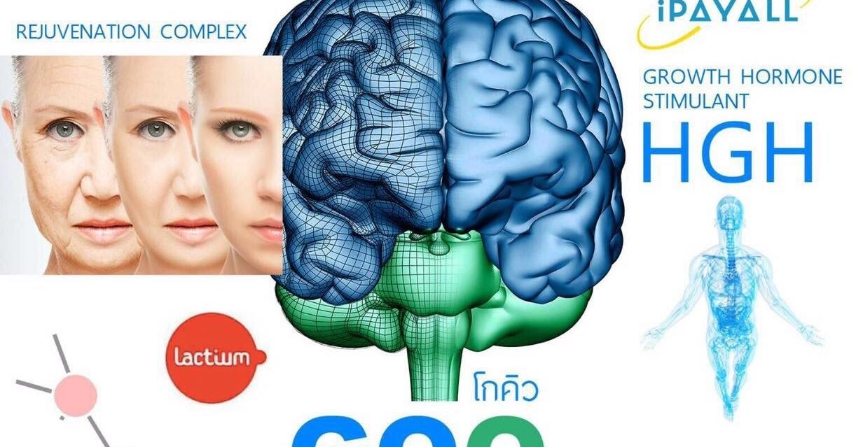 GoQ เคล็ดลับสู่วัยเยาว์