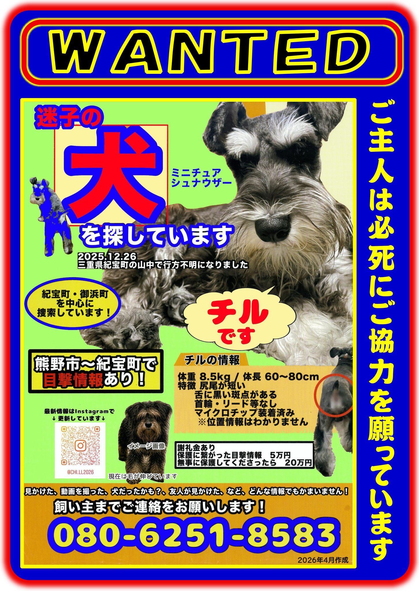未だ 見つからず 再度協力要請がありました 見かけられたら 連絡して