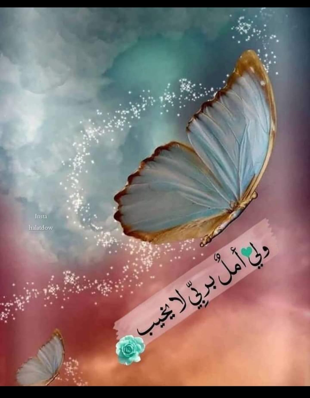 عليا حنيحن