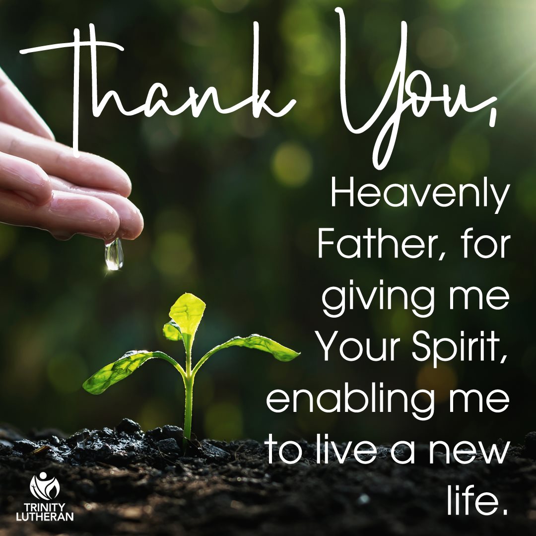 Trinity - Pastor Billy's Lenten devotional prayer for today ...