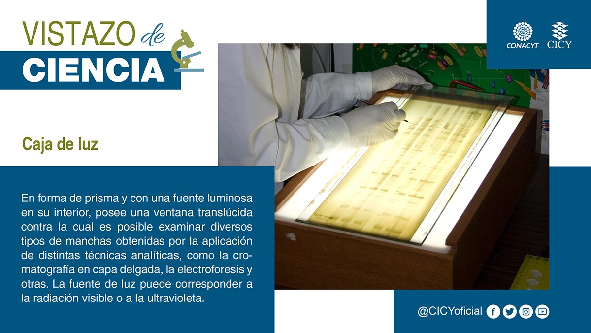 Cono... - CICY - Centro de Investigación Científica de Yucatán