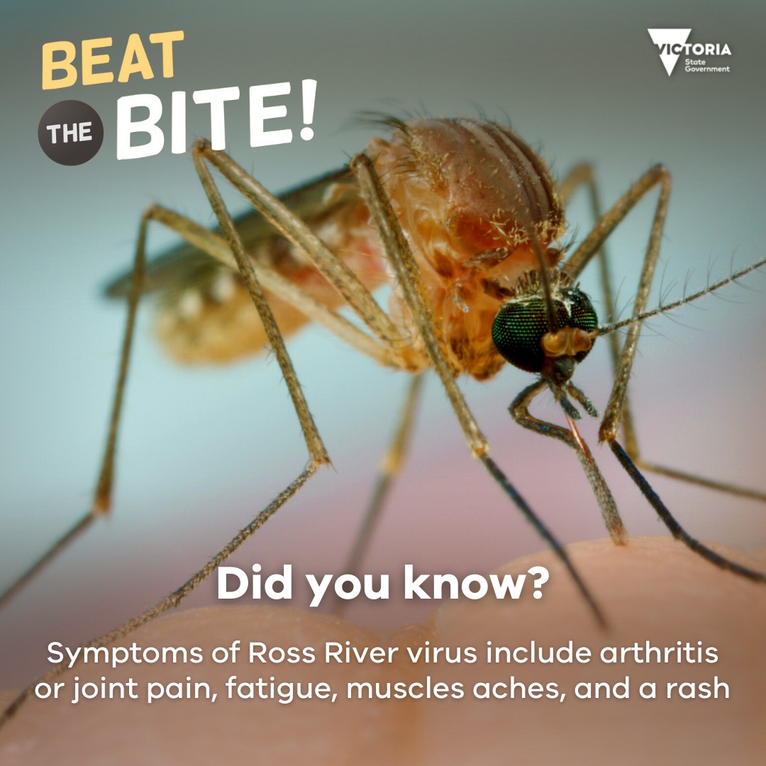 Victorian - ⚠️ Ross River virus alert ⚠️ Mosquito-borne diseases can ...