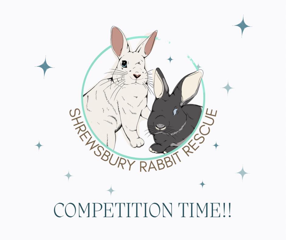 ⭐️ Competition ⭐️ Okay, rabbit... - Shrewsbury Rabbit Rescue
