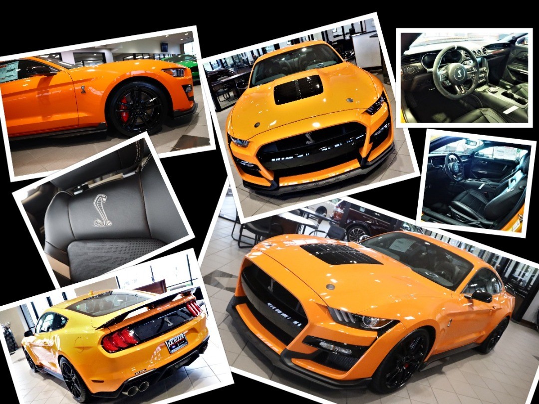 Rizza Cars