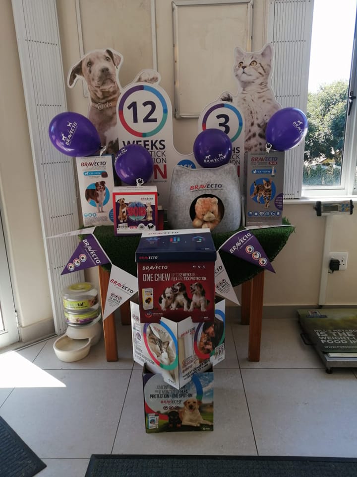 Midlands Veterinary Hospital - Our ladies have put together an amazing ...