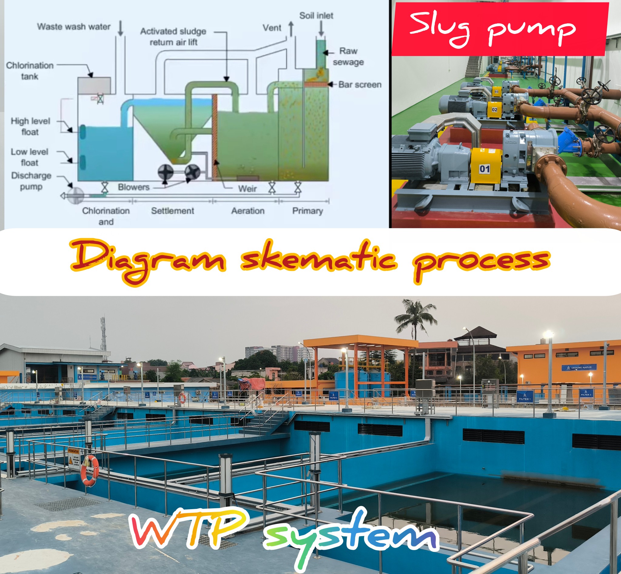 Chemistry knowledge | What is the purpose of the sedimentation process ...