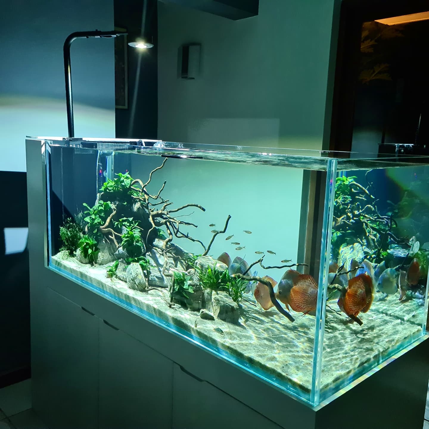 fish tank accessories in colombo Aqua Essentials - Nutri Base 5L - Soil Substrate For Aquarium Plants - Aquarium Soil Substrate for Fish Supplies for sale in