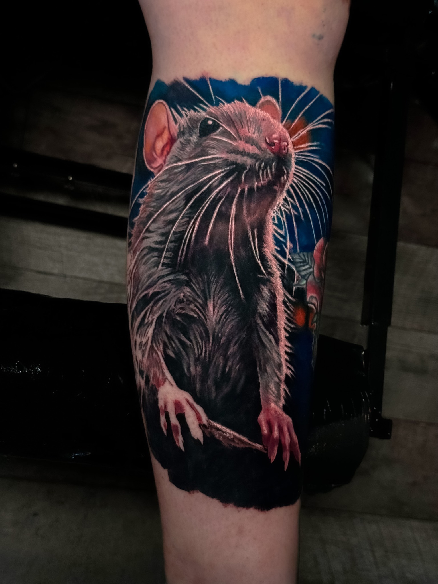 鼠 脹脛 Tattooed Rat at Manifacto Amsterdam . appointment via DM