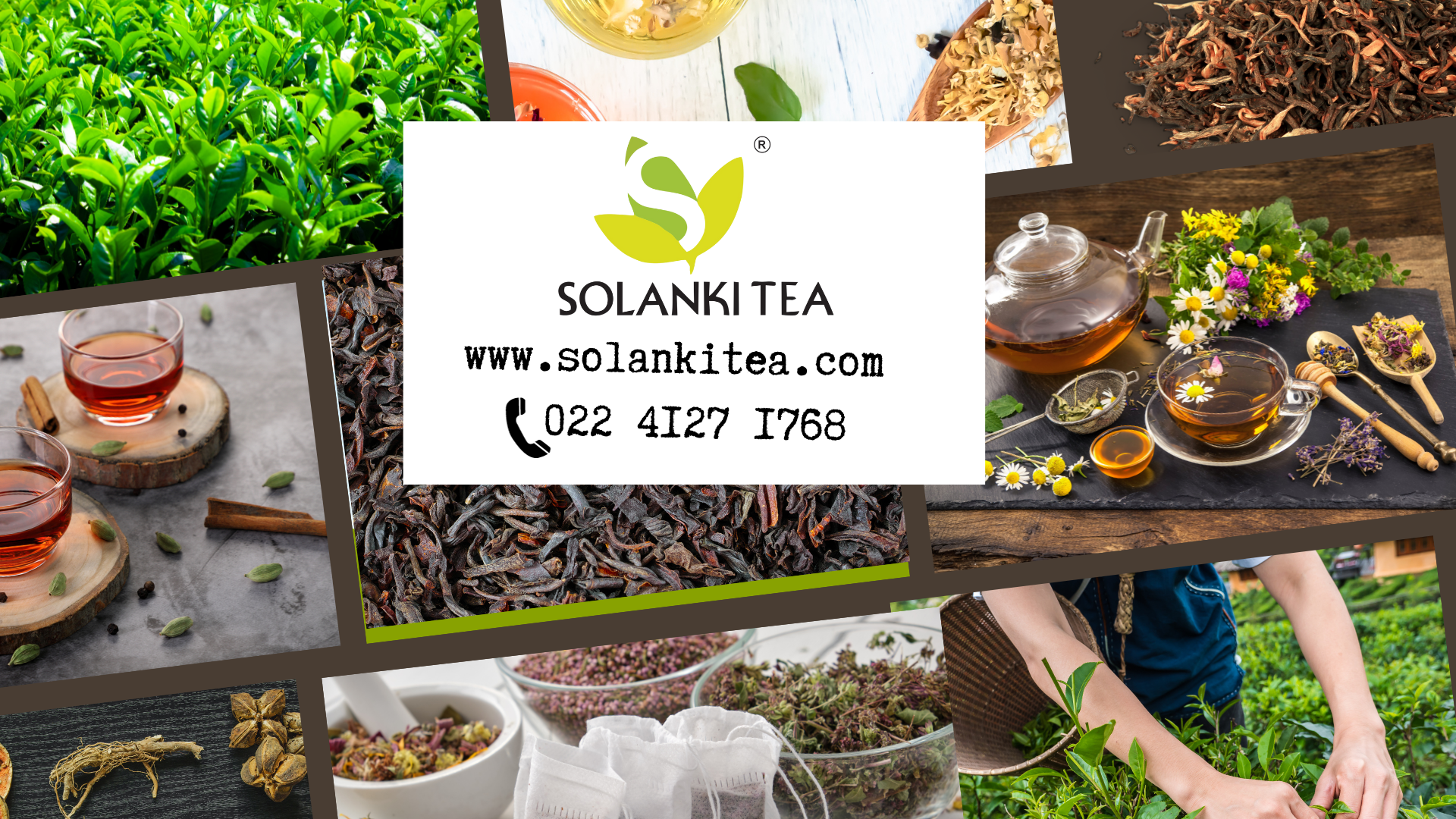 Solanki Tea
