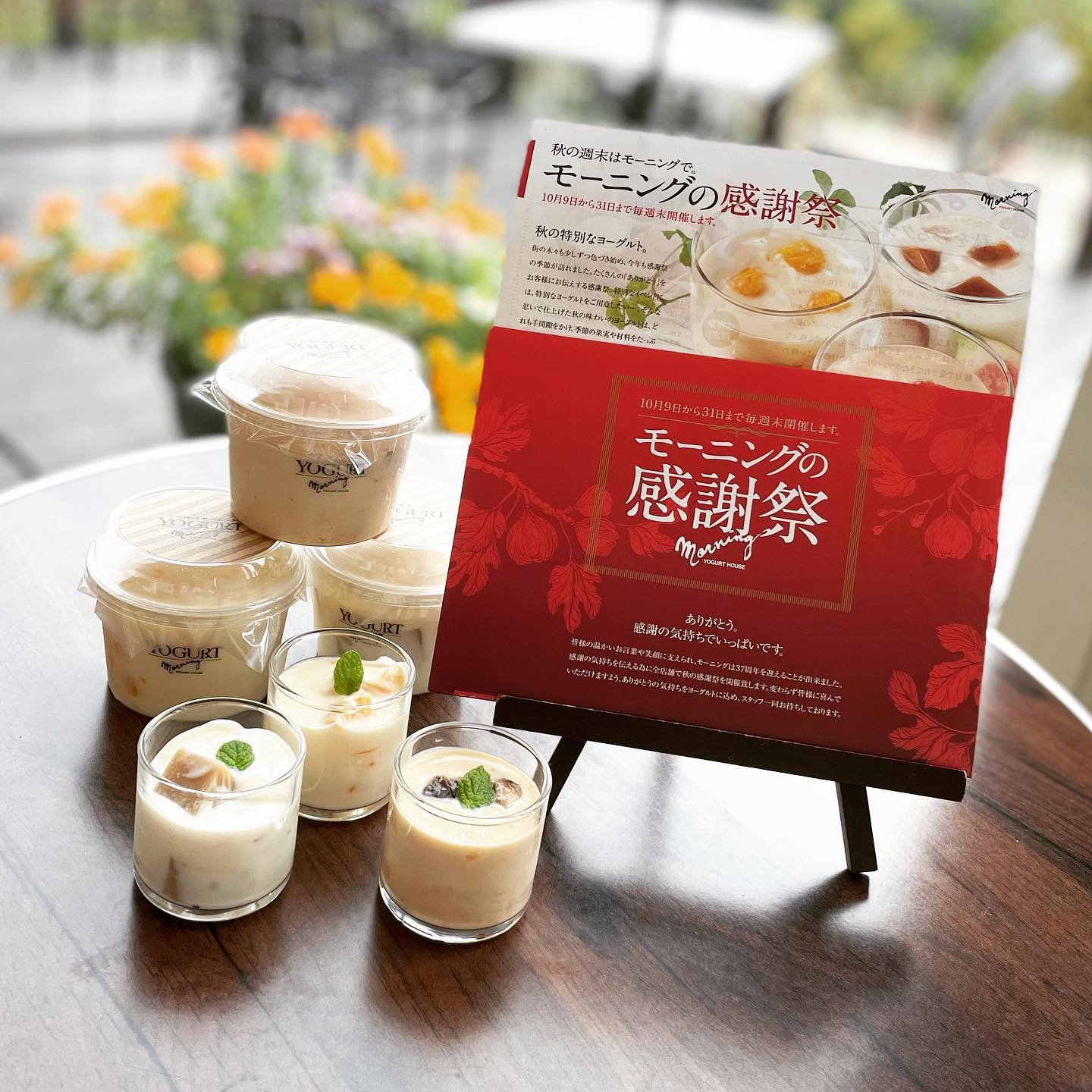 ヨーグルト専門店 モーニング Inicio Facebook