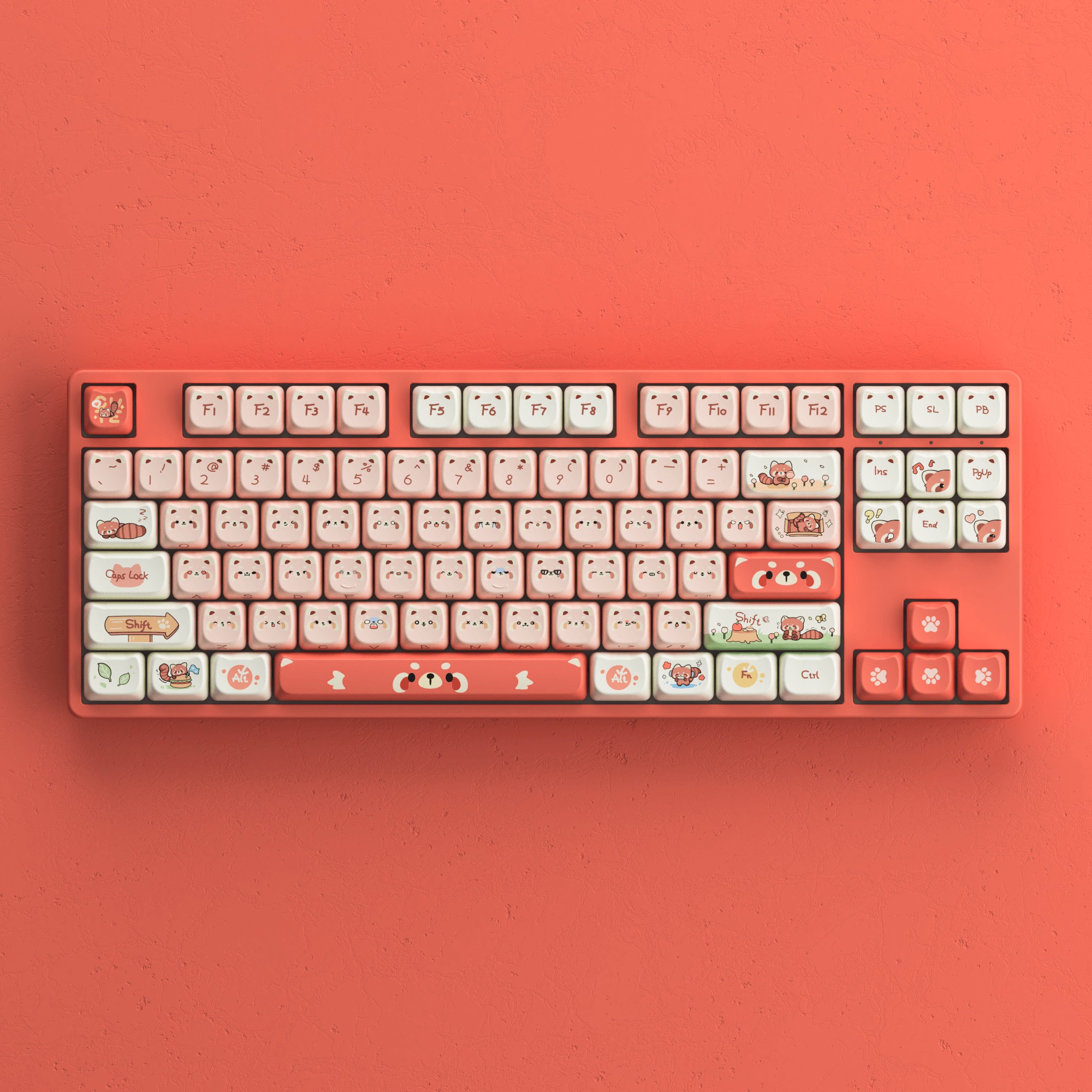 Akkogear.eu - 🦝 Unveiling the Raccoon-themed MAO profile...