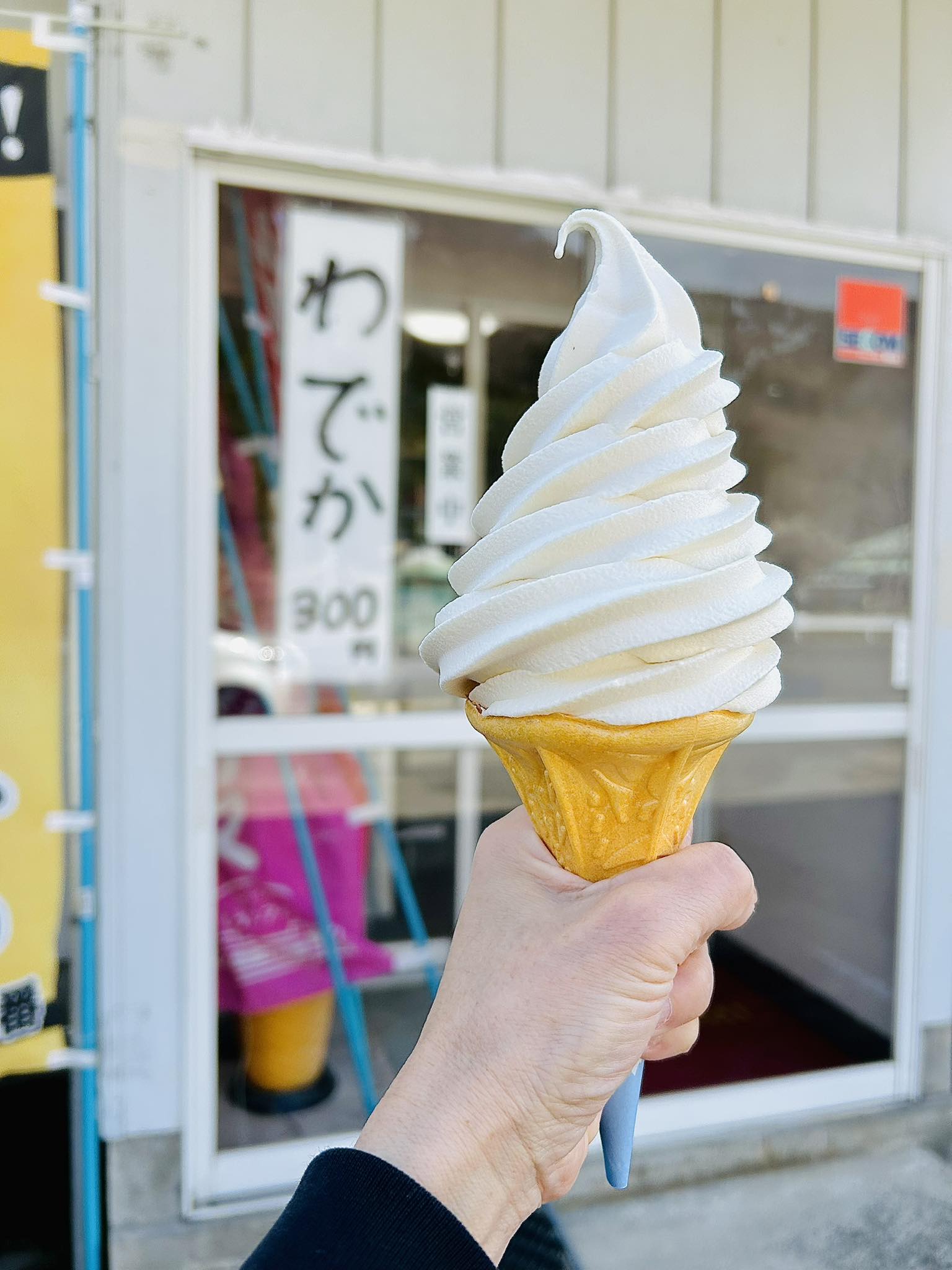 群馬県 水上豆腐工房 とうふソフト→別名「わでか」わぁ～・でッ・かぁ