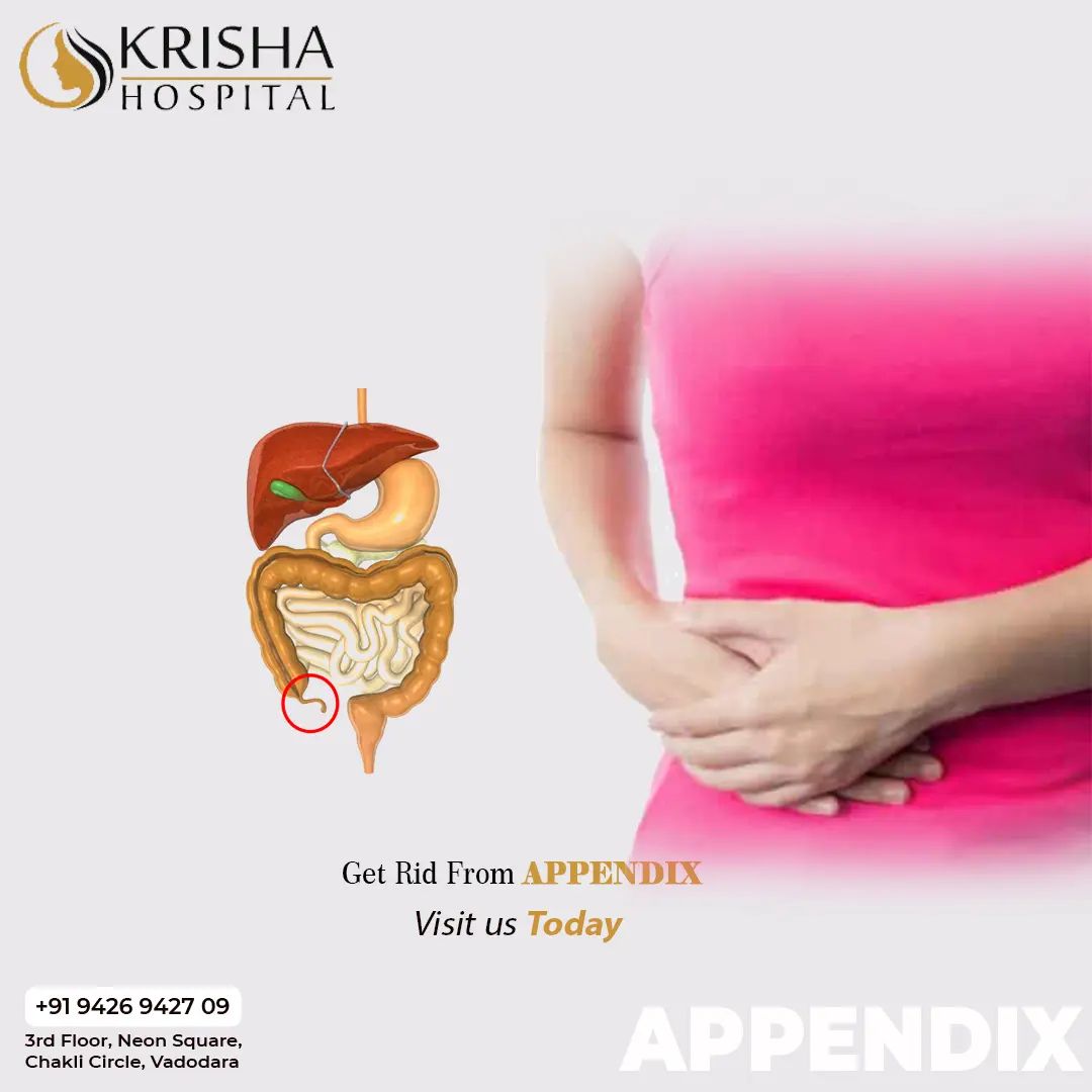 The appendix is a small, thin pouch about 5 to 10cm (2 to 4 inches ...