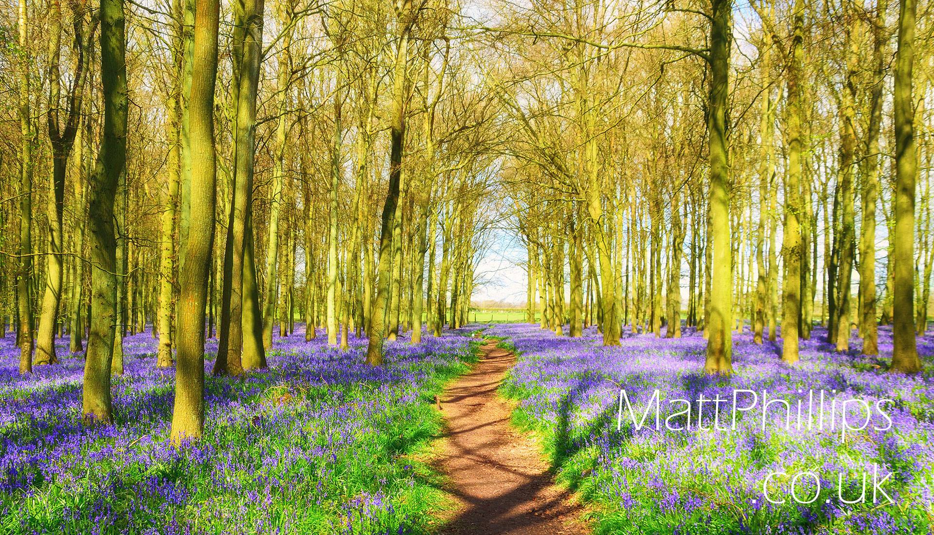 matt-phillips-photography