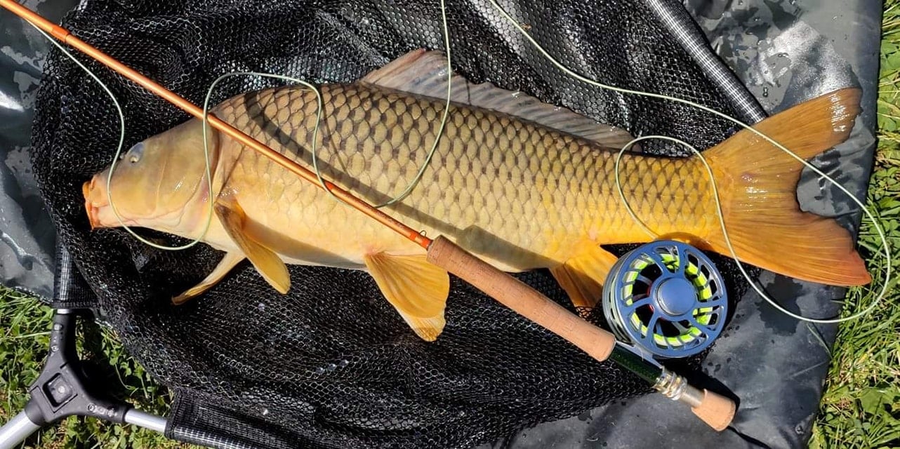shakespeare ugly stik carbon spinning rods Combo – Fishing World recycled-600d-polyester-main-body-fabric-backpacks-bags these new and improved Color:WHITE/PINK DOTS Flipping Rod Lew's American