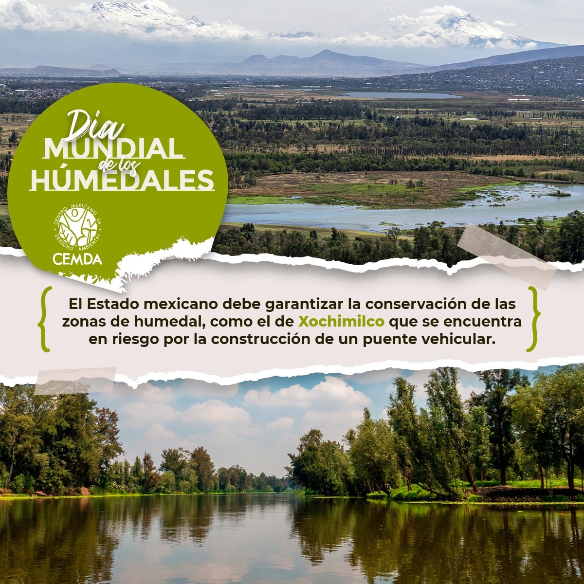 Hoy se celebra... - Centro Mexicano Derecho Ambiental - CEMDA