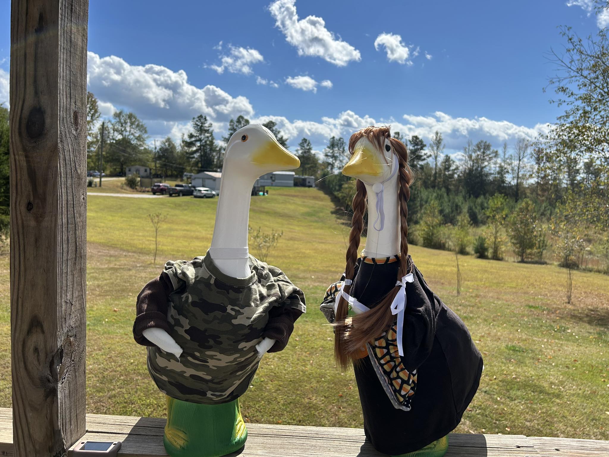 The Porch Goose Club of America | Lucy has a new friend everyone meet ...
