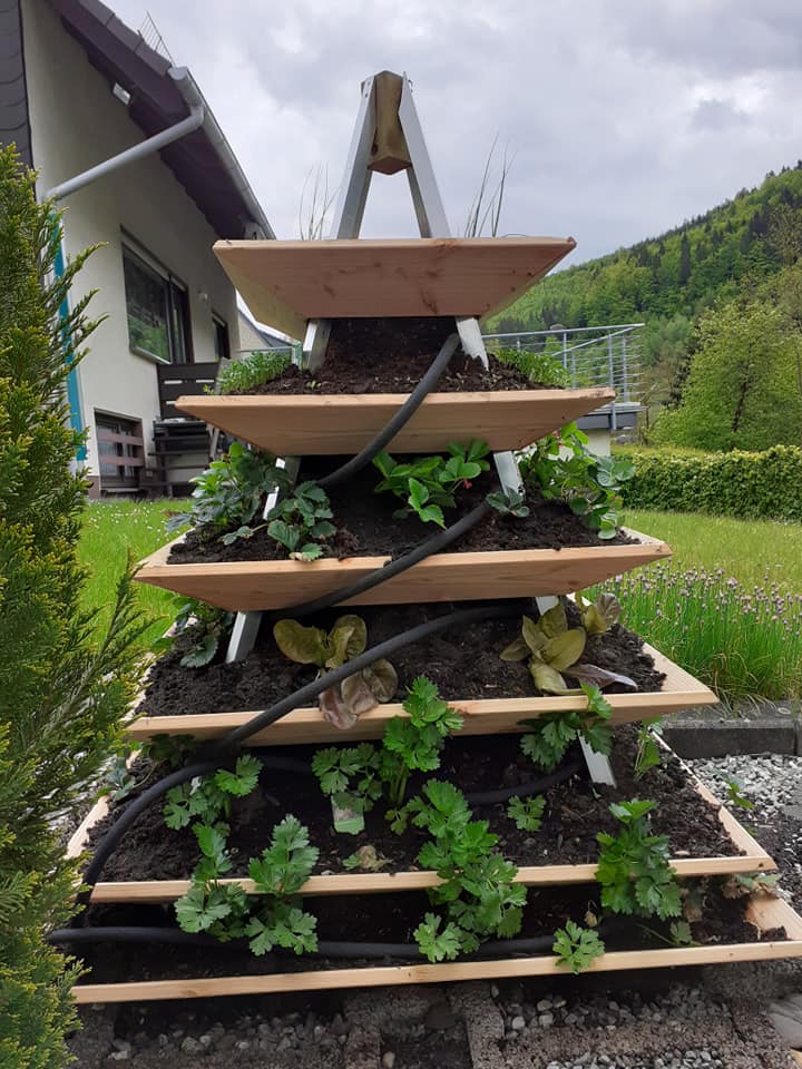 Erdbeerpyramide Aus Holz Bauplan