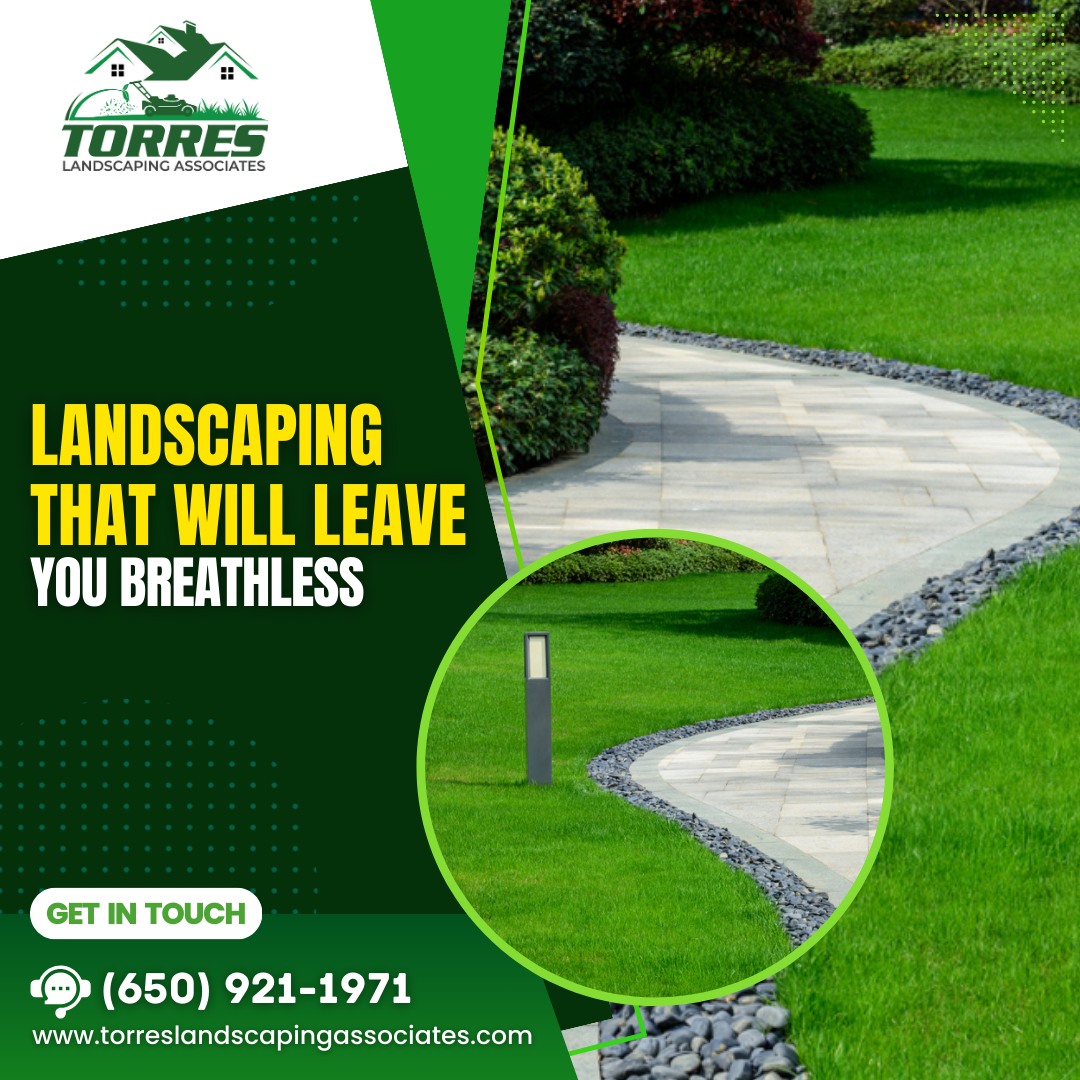 Torres Landscaping | San Mateo CA