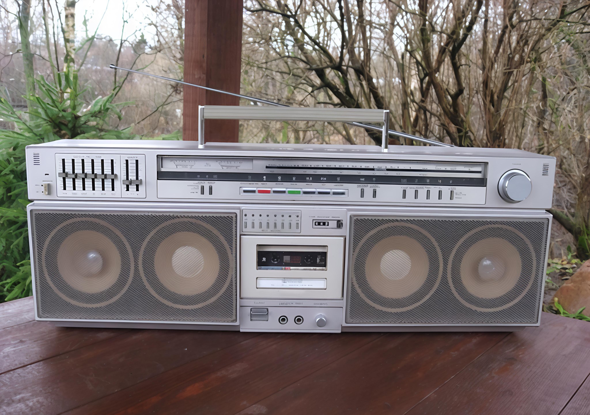 Pioneer SK-900 - 