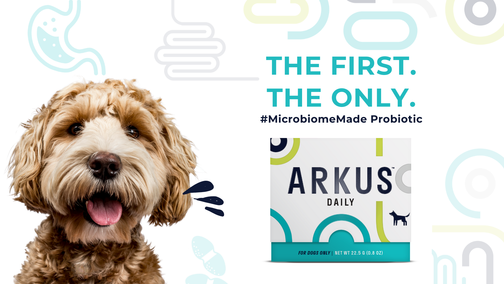 Arkus Daily | San Diego CA