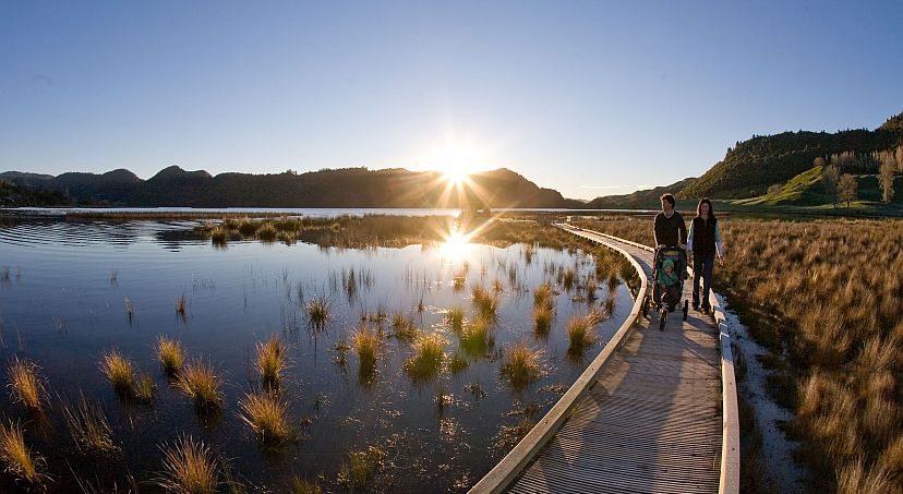 Rotorua Central - In case you missed the news! 🔥🔥 Platypus... | Facebook
