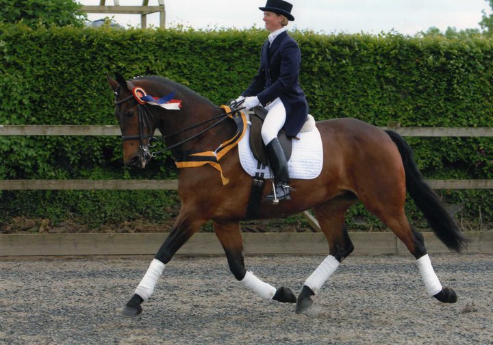 Sophie Clarke BHSII Reg Senior Coach