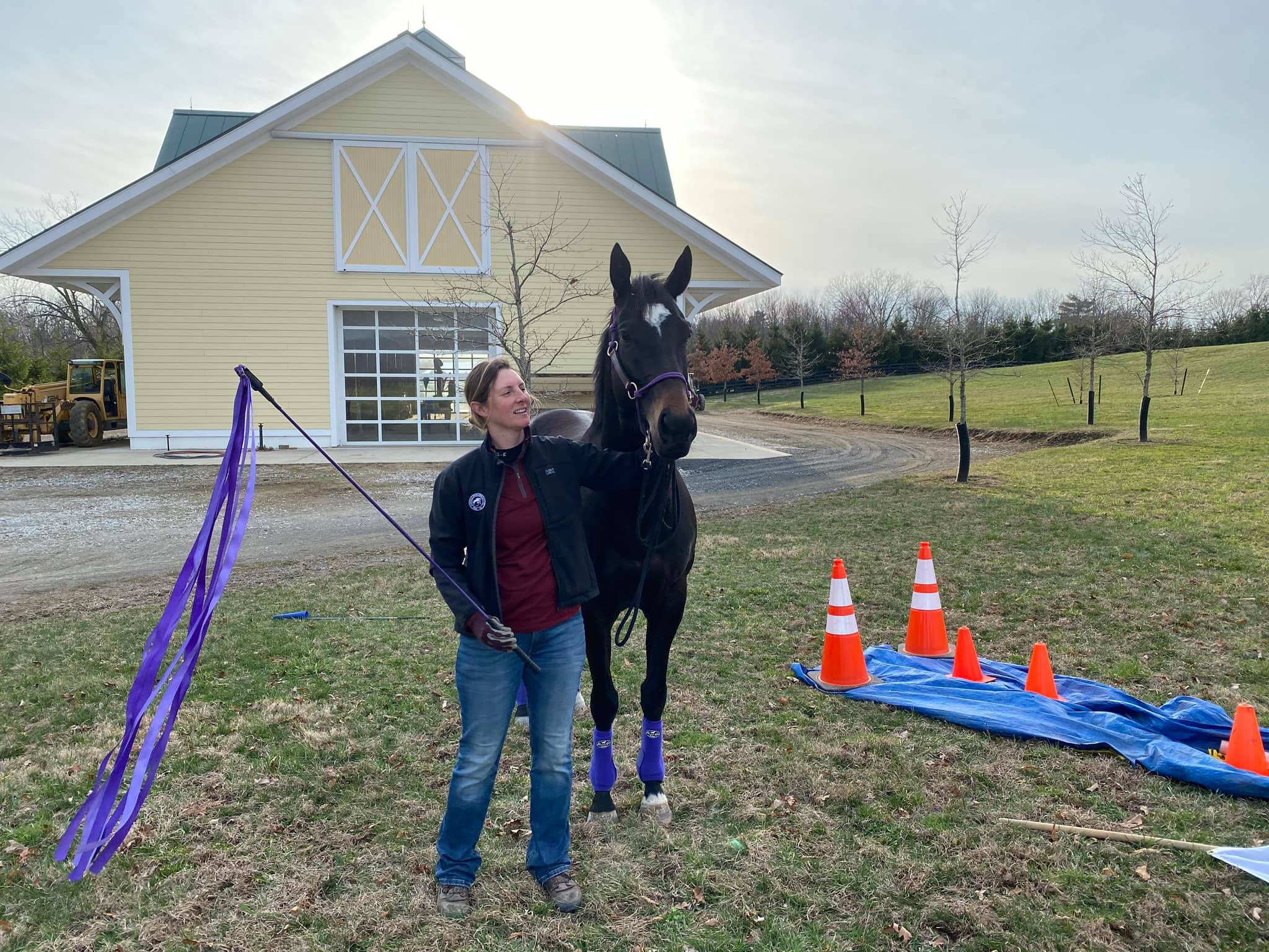 Gray Rider Horsemanship: From Kill Pen to Cavalry